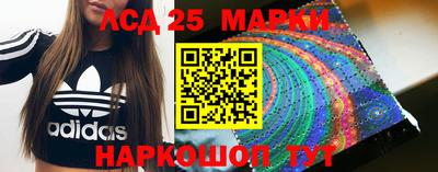 молекула духа Новозыбков