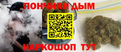 молекула духа Новозыбков