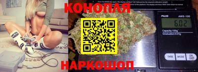 молекула духа Новозыбков