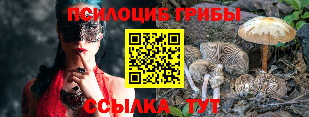 Учалы  Псилоцибиновые грибы мицелий  Вход с VPN 