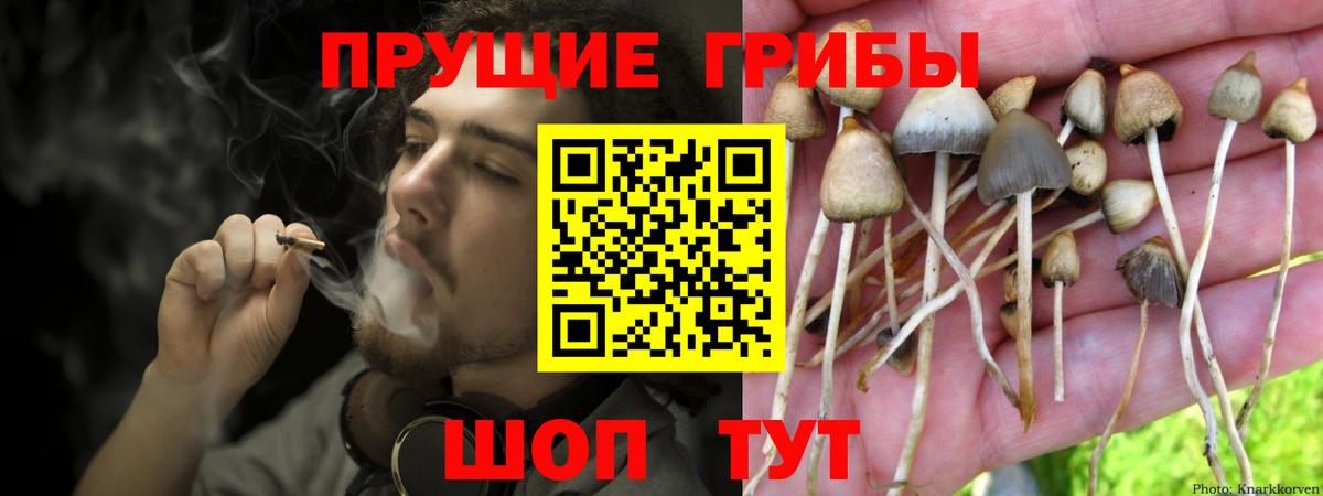 Галлюциногенные грибы Psilocybe Учалы